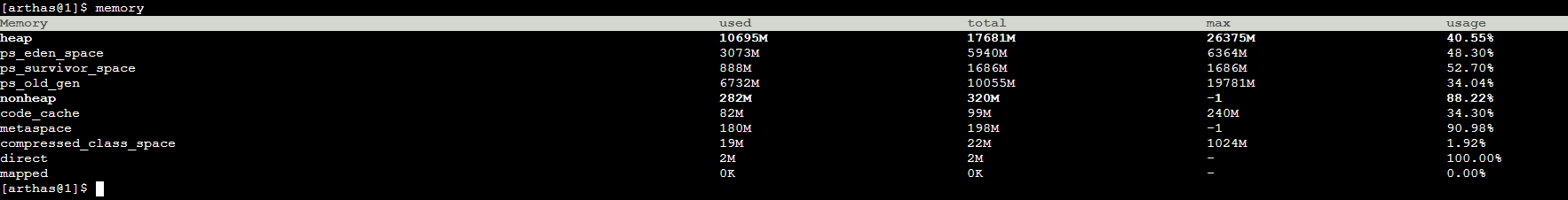 Arthas memory output